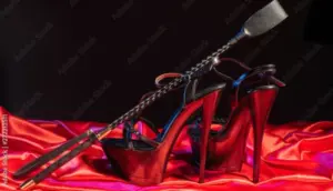 Pictured are heeled shoes for the dominitrace and a riding crop to subdue the male