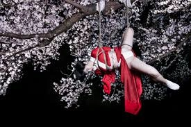 Shibari rope suspension scene showing person tied with ropes hanging from a tree.